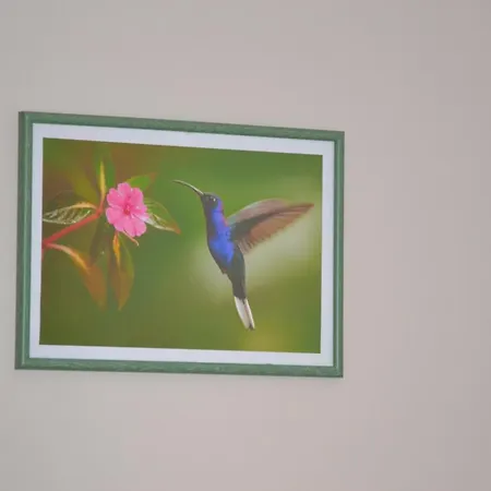 Le Colibri Bleu Couette-café Argeliers
