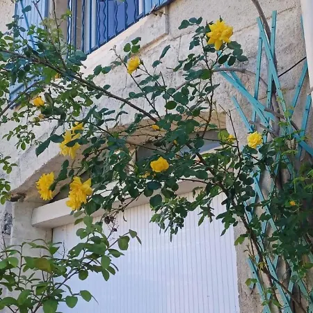 Le Colibri Bleu *