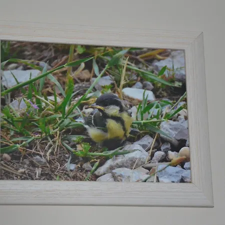 Oda ve Kahvaltı Le Colibri Bleu 3*