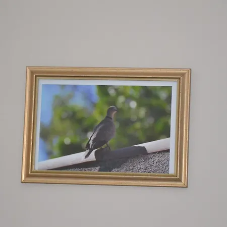 Le Colibri Bleu * Argeliers